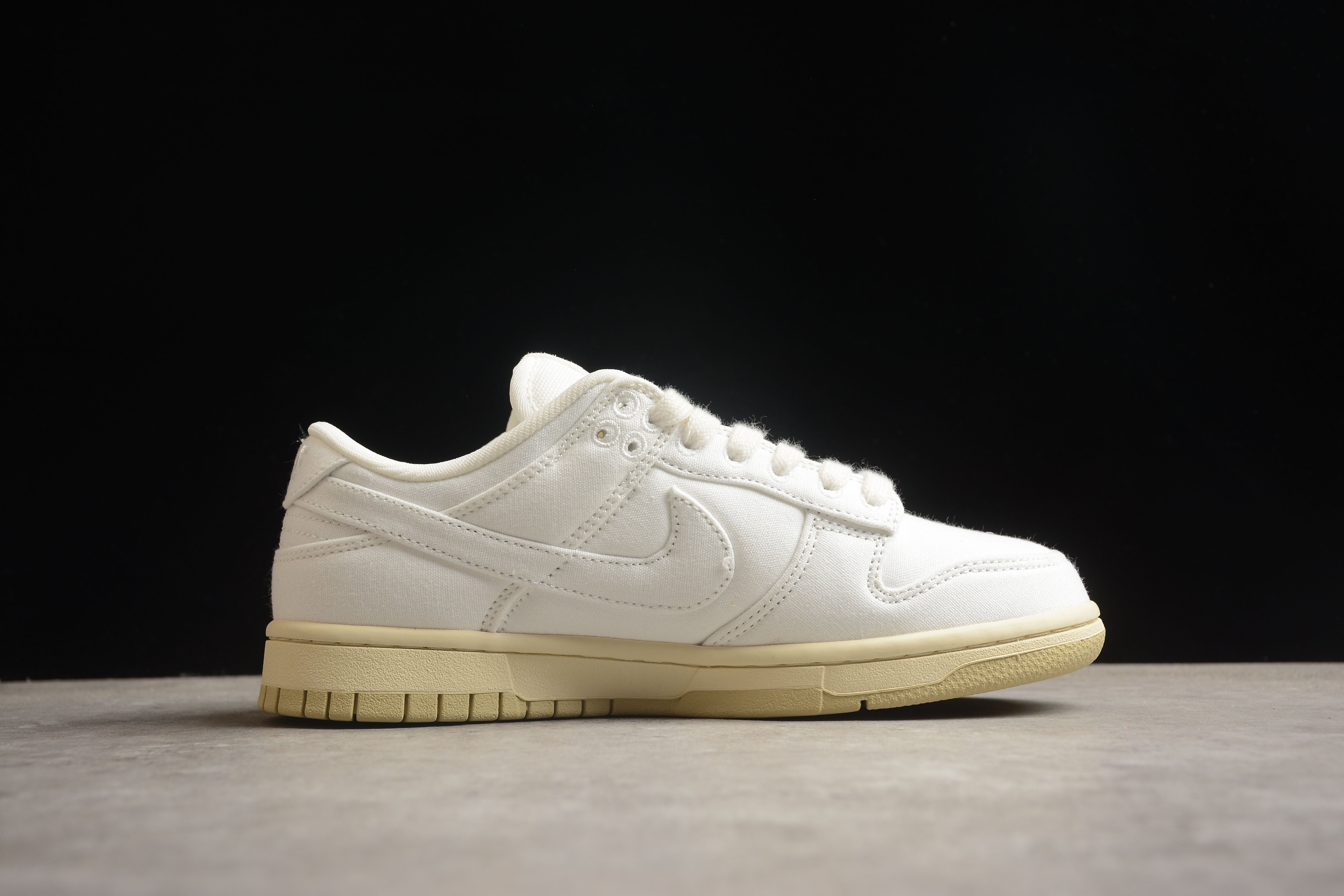 Nike SB dunk low WMNS shoes