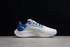Nike Pegasus blanc/bleu