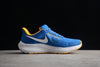 Nike pegasus royal blue