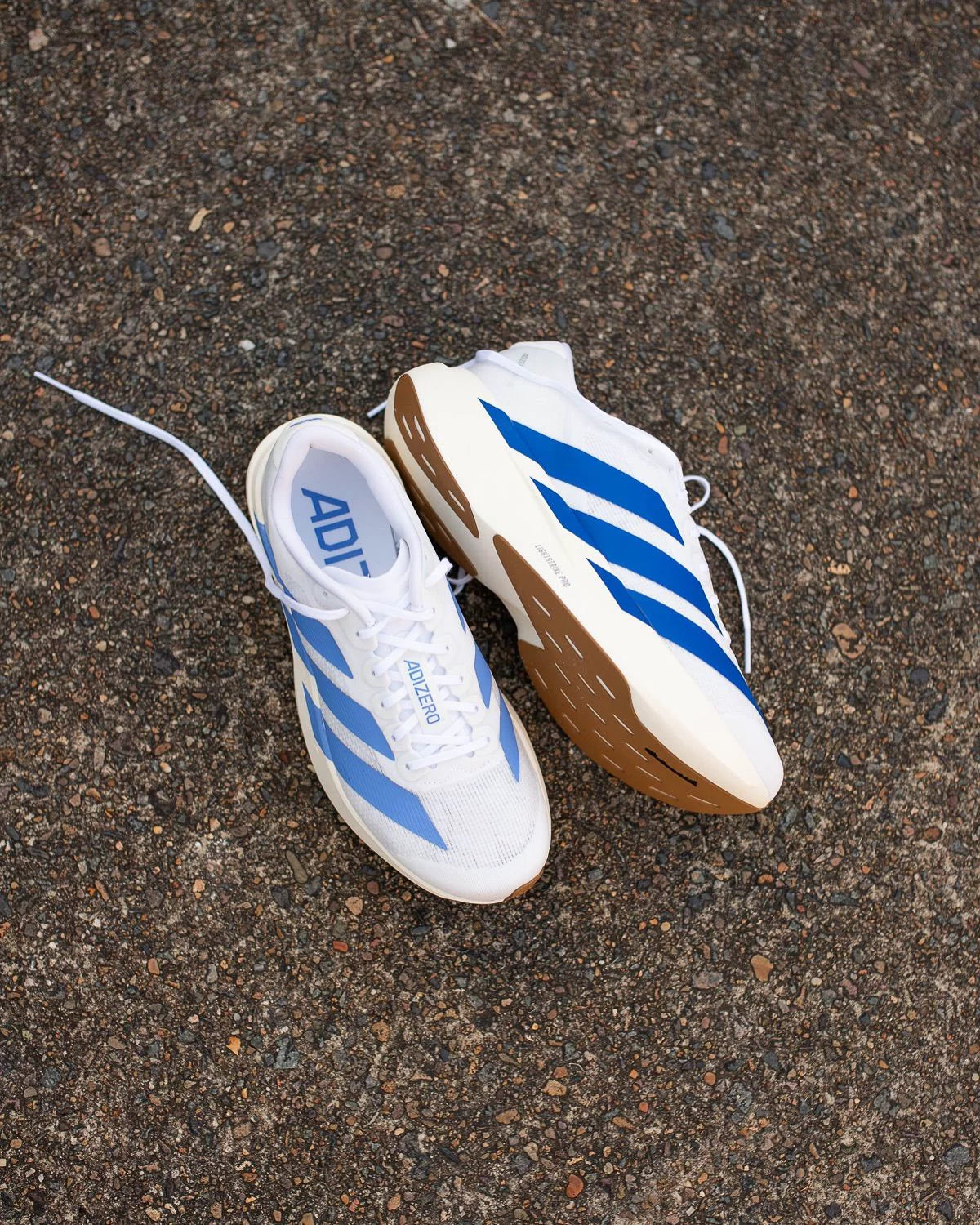 Adidas Adizero EVO SL 'White Royal Blue'
