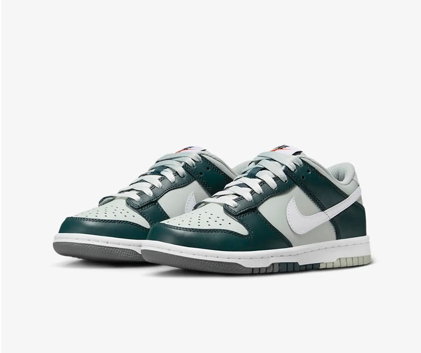 Nike SB low dunk nuances de chaussures grises