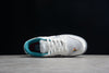 Nike SB dunk low  ice shoes