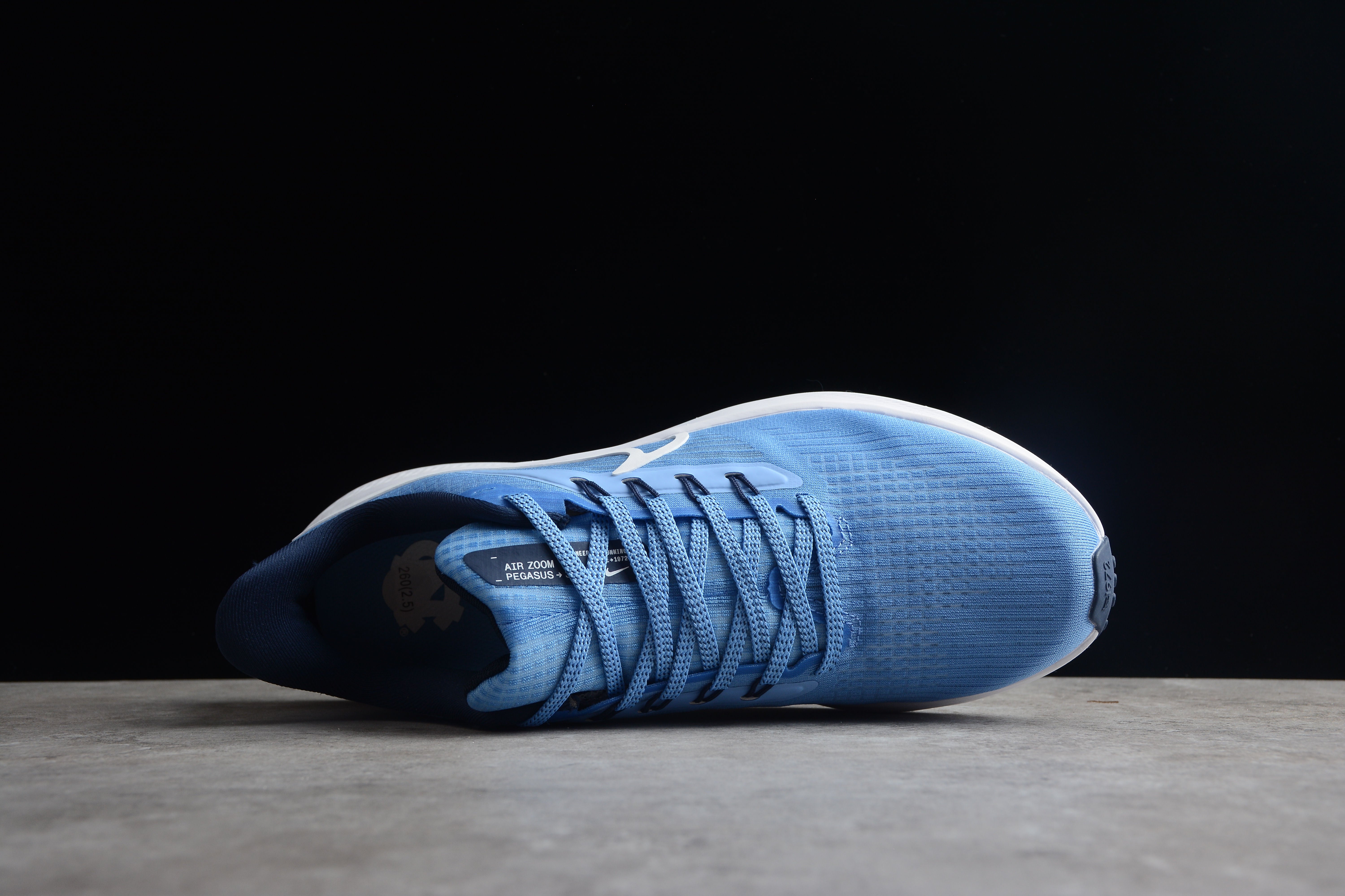 Nike pegasus blue
