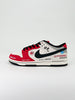 NIKE DUNK LOW RETRO SB 
