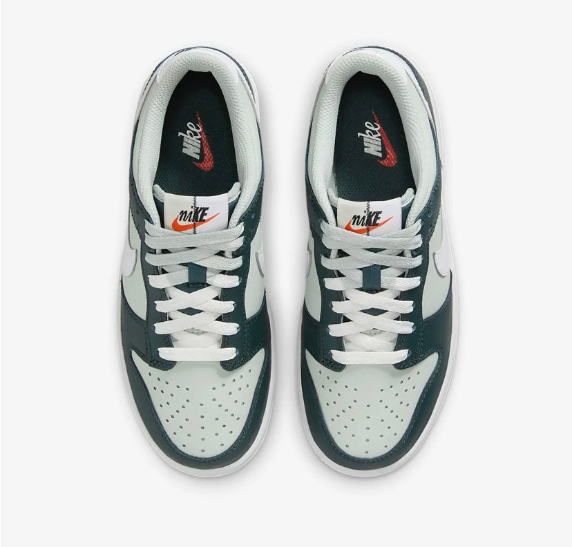 Nike SB low dunk shades of grey shoes