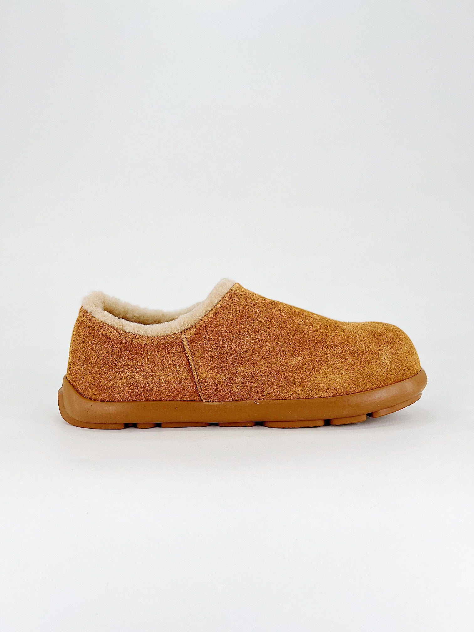 Adidas campus bordo chaussures