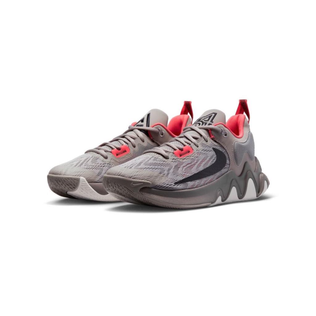 Nike Giannis immortalité 2 chaussures grises