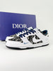 NIKE DUNK LOW RETRO SB & DIOR
