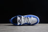 Nike SB low dunk disrupt 2 chaussures malachite