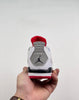 Nike air jordan 4 what the shoes