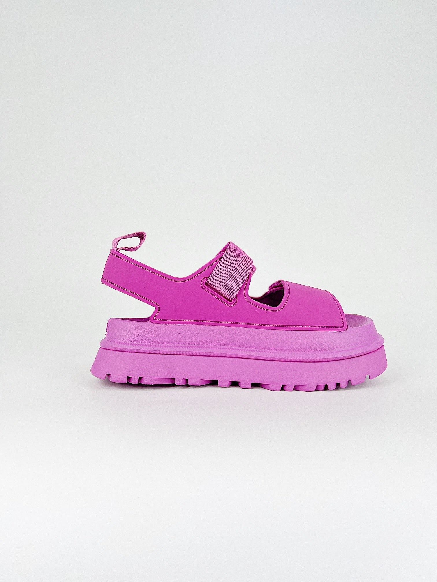 Adidas campus bordo chaussures
