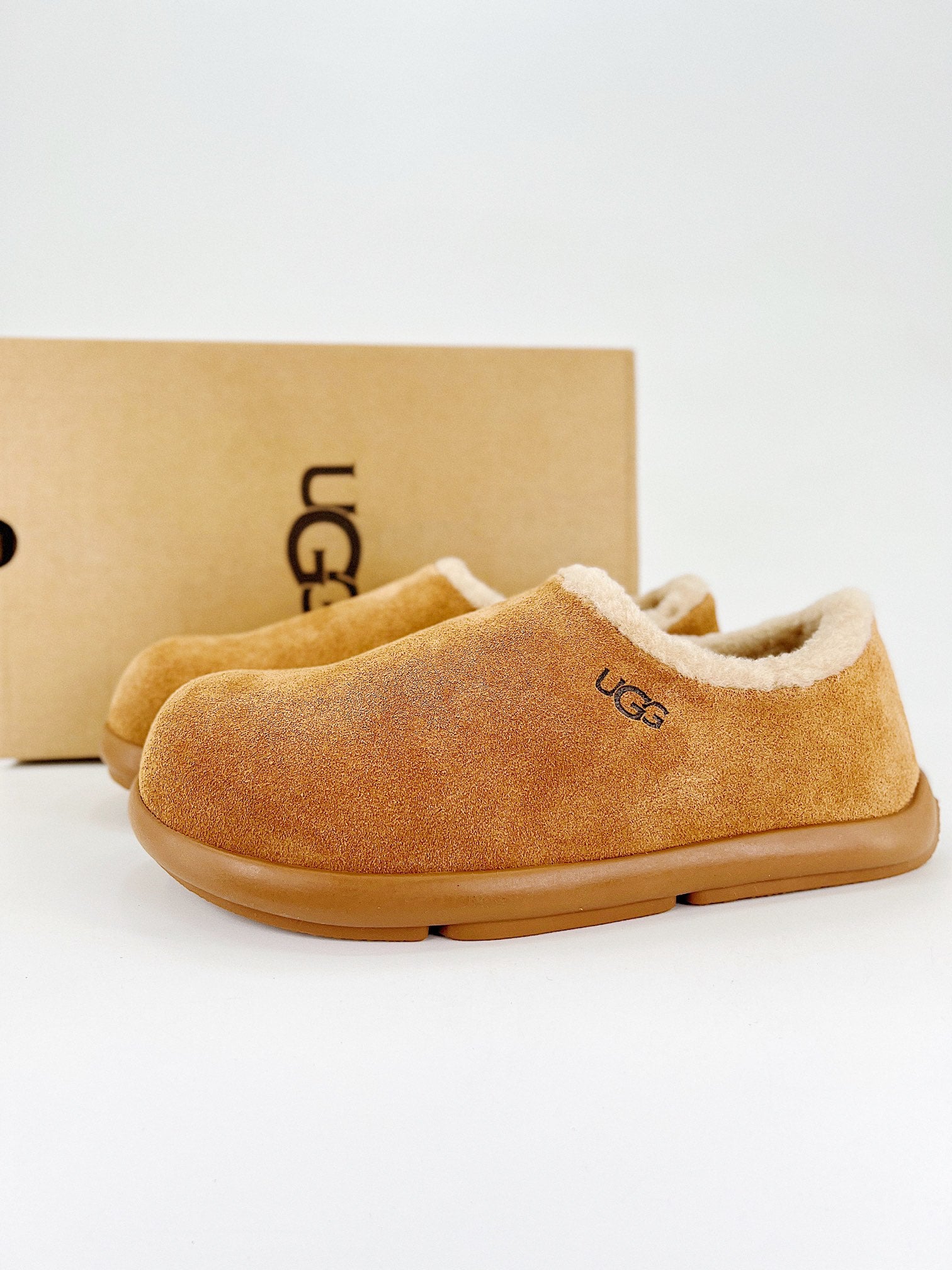 Adidas campus bordo chaussures